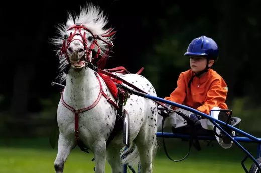The Kentucky Derby Horse Race