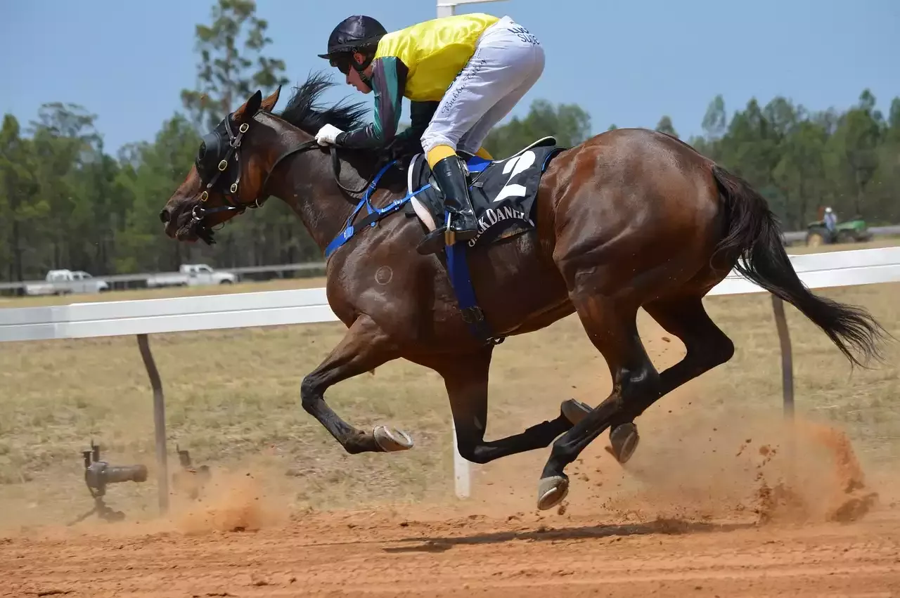 The Prestigious Belmont Stakes Race