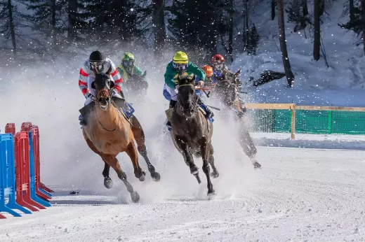 Betting at the Race Track